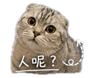 845821041