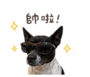 845823671