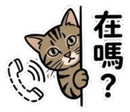 845824456