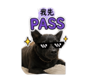 845825420