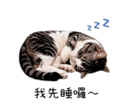845825570