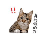 845825574