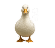 845826835