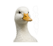 845826838