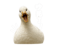 845826841