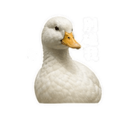 845826845