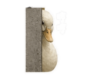 845826846