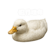 845826847