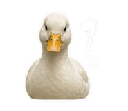 845826850