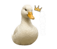 845826854