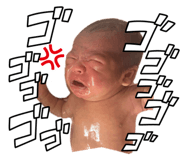 845827808