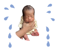 845827814
