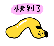 845828050