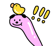 845828060