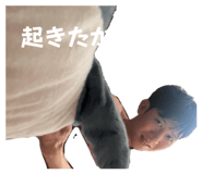 845828525