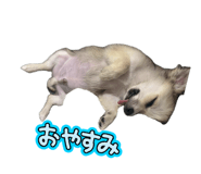 845829914