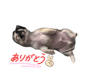 845829919