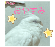 845830088