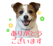 845830721
