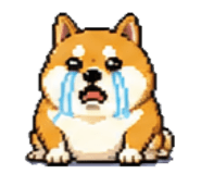 845830834