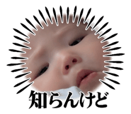 845831346