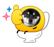 845833332