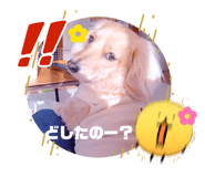 845833673