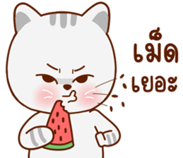 มุ้งมิ้ง แมวตัวแม่ รูปที่ 6
