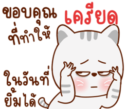 มุ้งมิ้ง แมวตัวแม่ รูปที่ 7