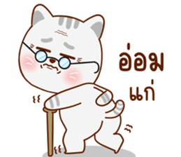 มุ้งมิ้ง แมวตัวแม่ รูปที่ 15