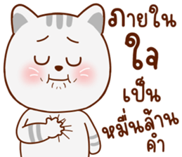 มุ้งมิ้ง แมวตัวแม่ รูปที่ 16
