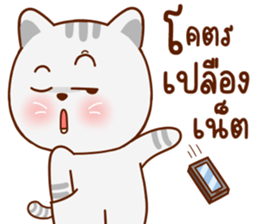 มุ้งมิ้ง แมวตัวแม่ รูปที่ 23