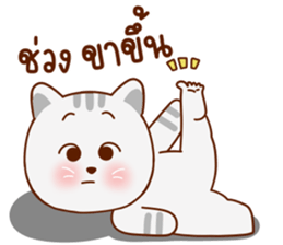 มุ้งมิ้ง แมวตัวแม่ รูปที่ 29