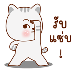 มุ้งมิ้ง แมวตัวแม่ รูปที่ 38