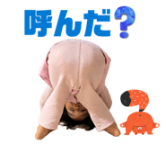 845834564