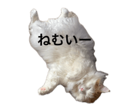 845834905