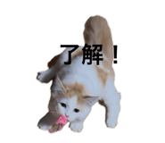 845834906