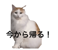 845834908