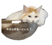 845834909