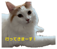 845834910