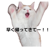 845834911