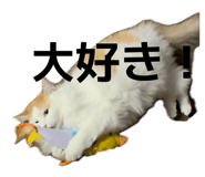 845834912