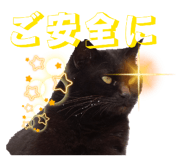 845834971