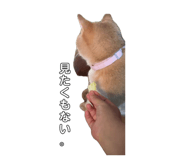 845835083