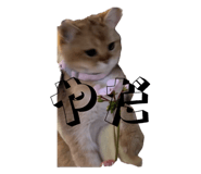 845835084