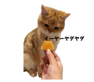 845835085