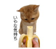 845835086