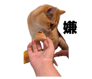 845835087