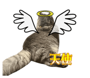 845835367