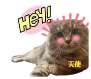 845835375